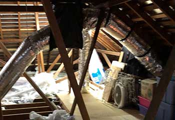 Attic Cleaning in Glendale | Attic Cleaning Burbank