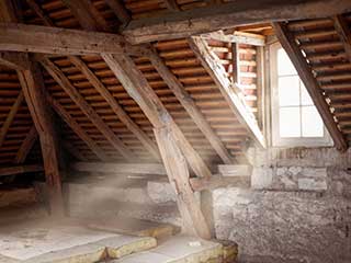 Attic Cleaning Services | Attic Cleaning Burbank, CA Attic Cleaning Services | Attic Cleaning Burbank, CA