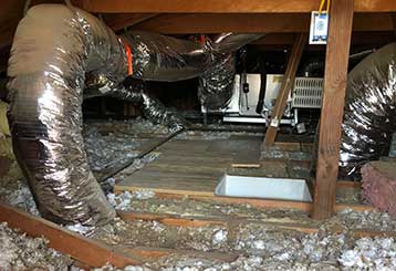 Crawl Space Cleaning | Attic Cleaning Burbank, CA