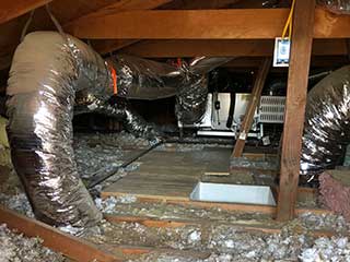 Crawl Space Cleaning Services | Attic Cleaning Burbank, CA